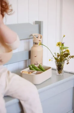 Filibabba Drikkeflaske 350Ml - Carrot Thief